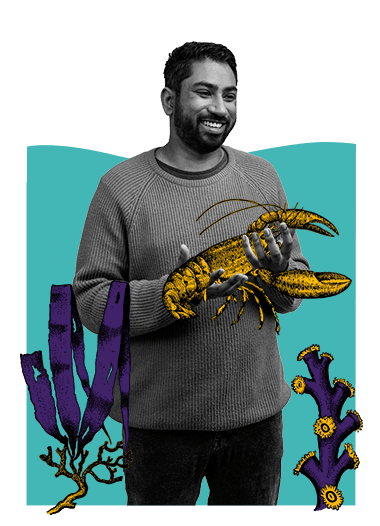 Krishna Juggapah